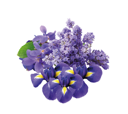 noy_bouquet