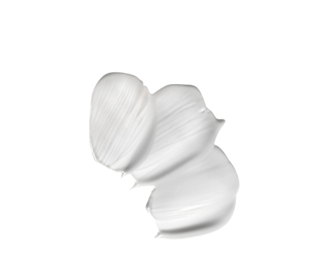snail_902775069